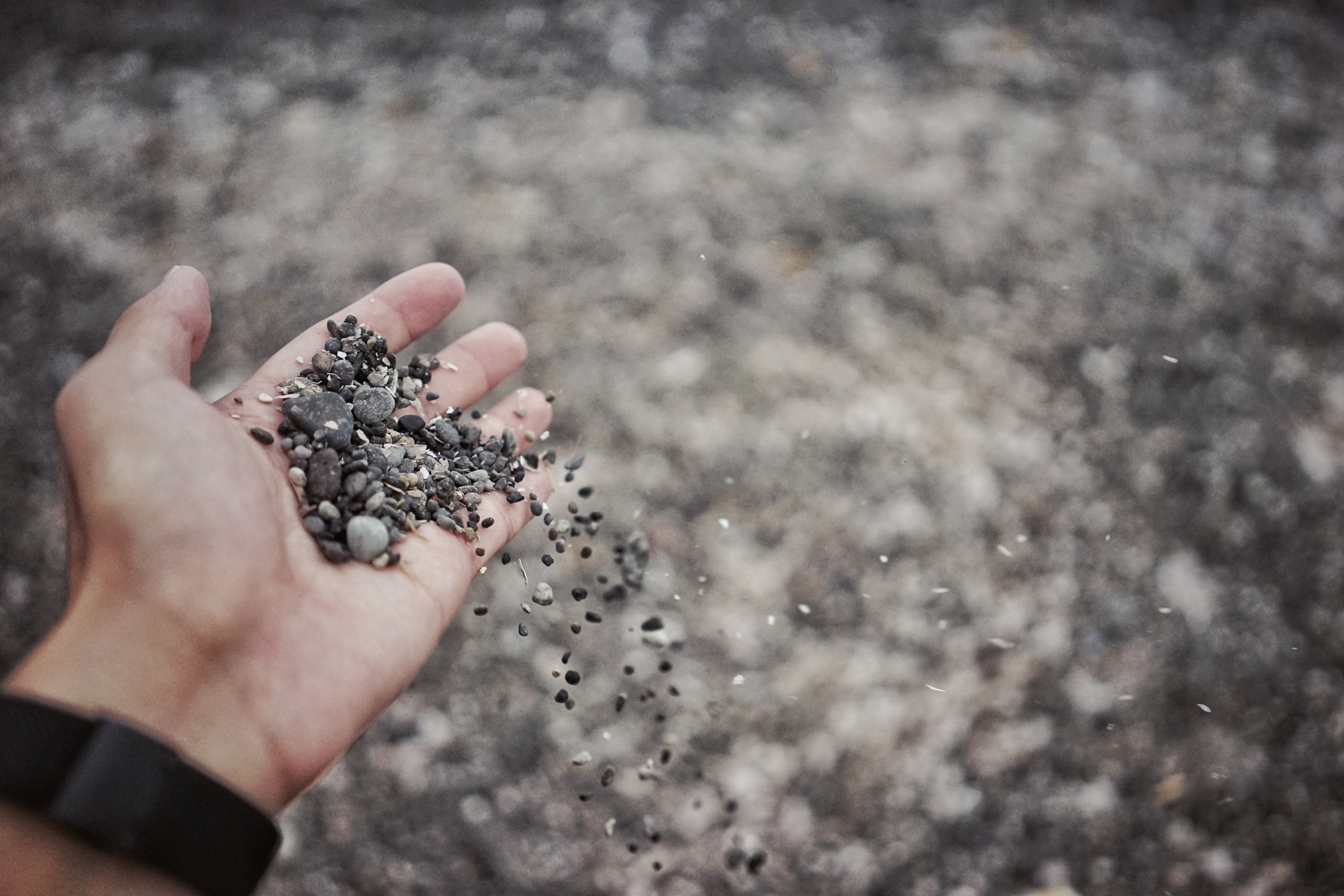 Photo by pan xiaozhen on Unsplash